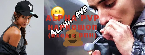 соль ск Дмитриев