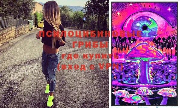 соль ск Алзамай