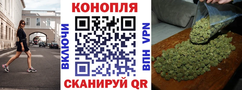 shop состав  что такое наркотик  Оренбург  Бошки Шишки SATIVA & INDICA 